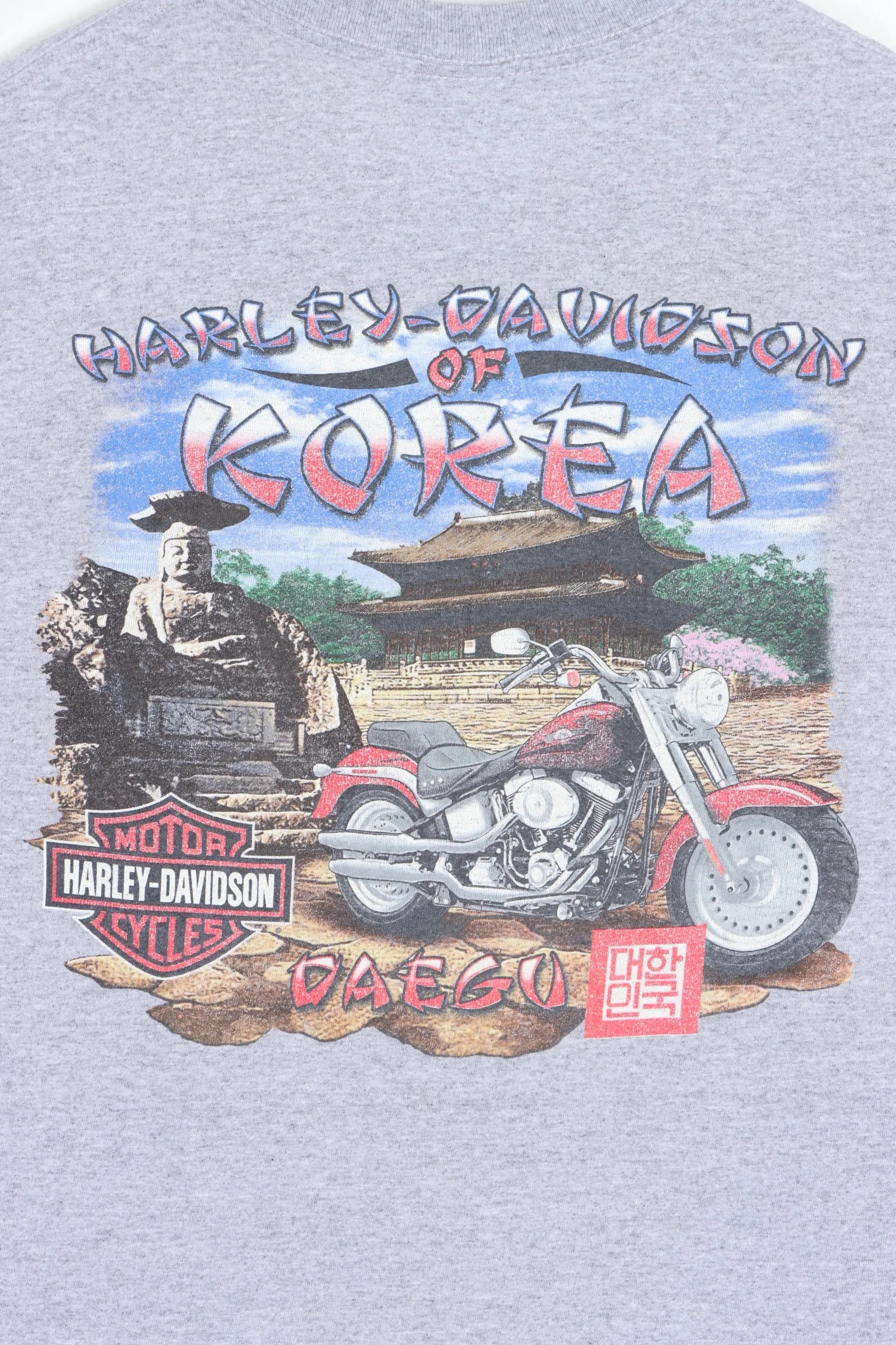 HARLEY DAVIDSON Daegu Korea Front Back Temple T-Shirt (M)