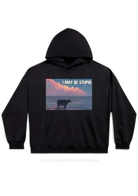 I May Be Stupid Meme Y2K Hoodie Cherrykitten