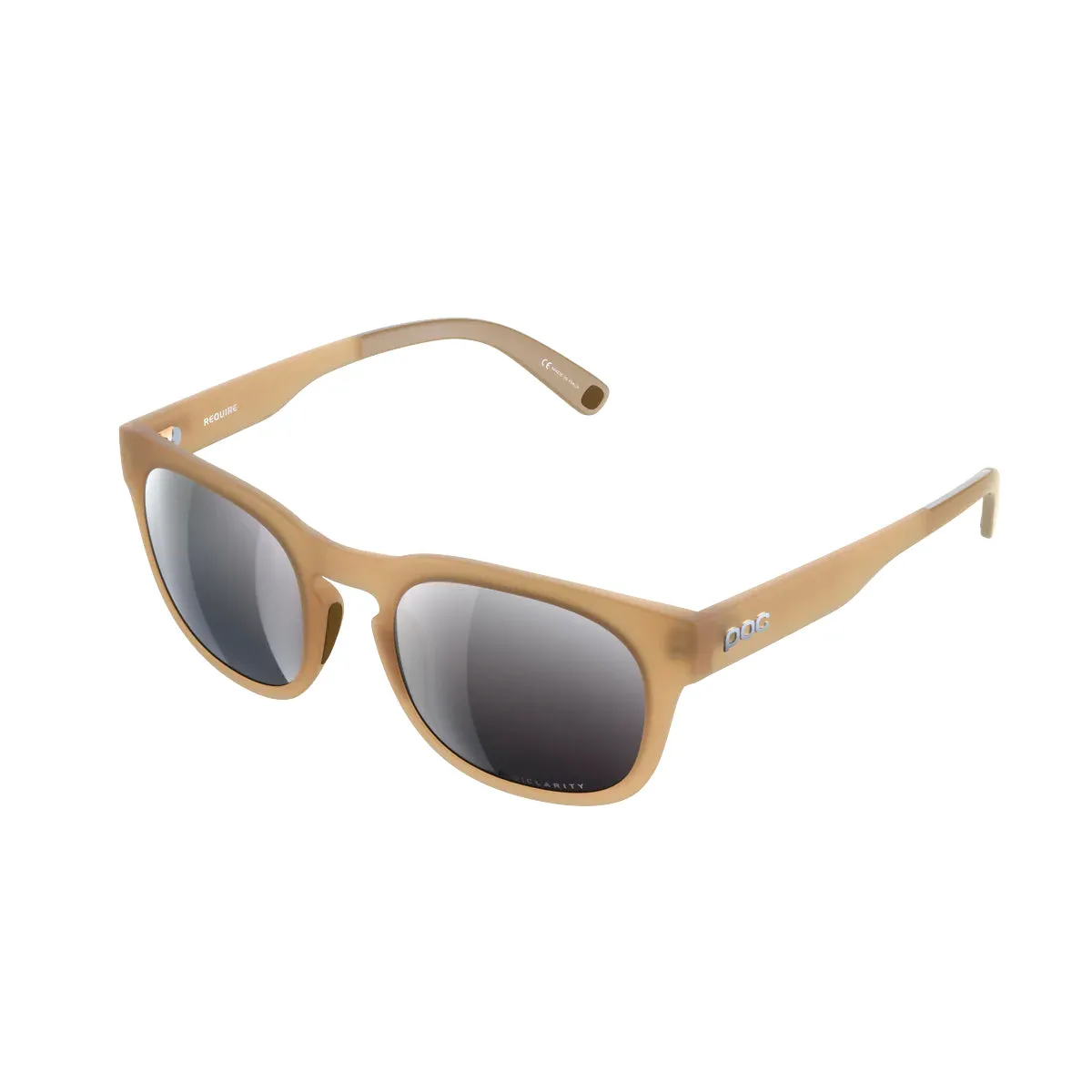 POC Require Sunglasses